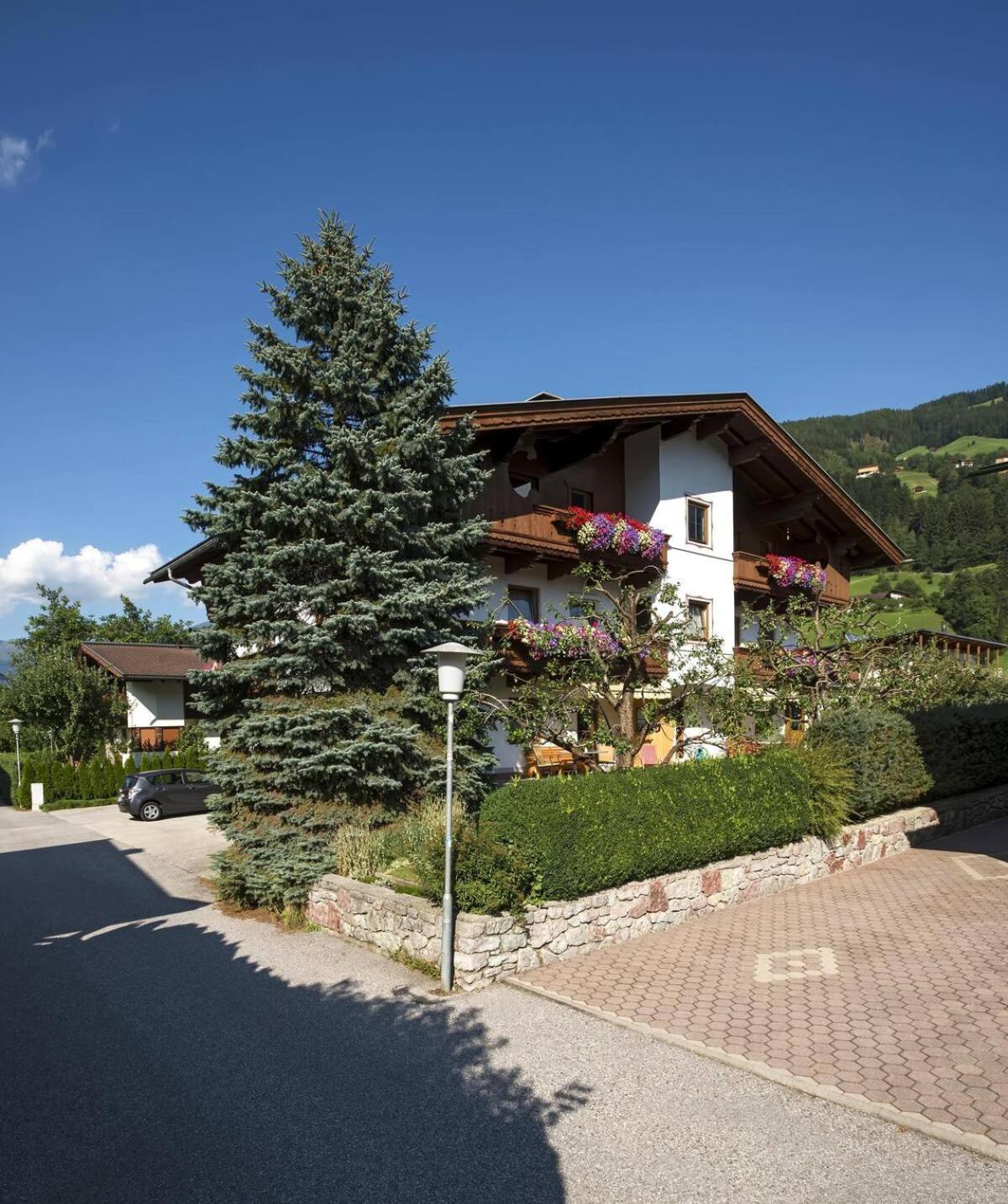 Апартаменти Alpenrose Рамзау-ім-Ціллерталь Екстер'єр фото