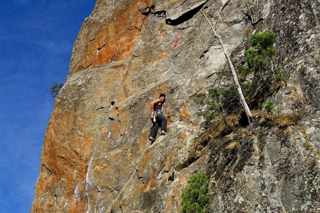 Апартаменти Alpenrose Рамзау-ім-Ціллерталь Екстер'єр фото
